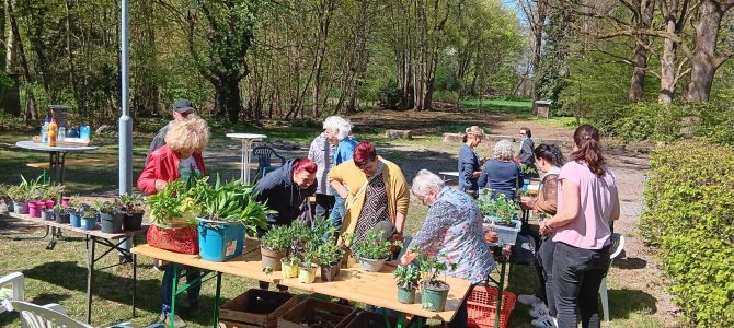 Im Schrobsdorff-Garten wurde geschenkt, getauscht, gespendet – Pflanzenbörse in Pätz bei herrlichem Wetter